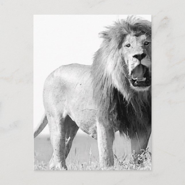 BW Lion Postkarte (Vorderseite)