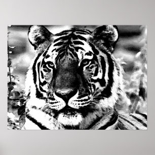 BW Tiger Poster Print Pop Art Style Tigers Plakate