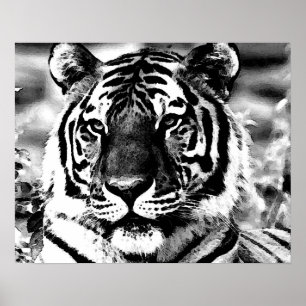 BW Tiger Poster Print Pop Art Style Tigers Plakate