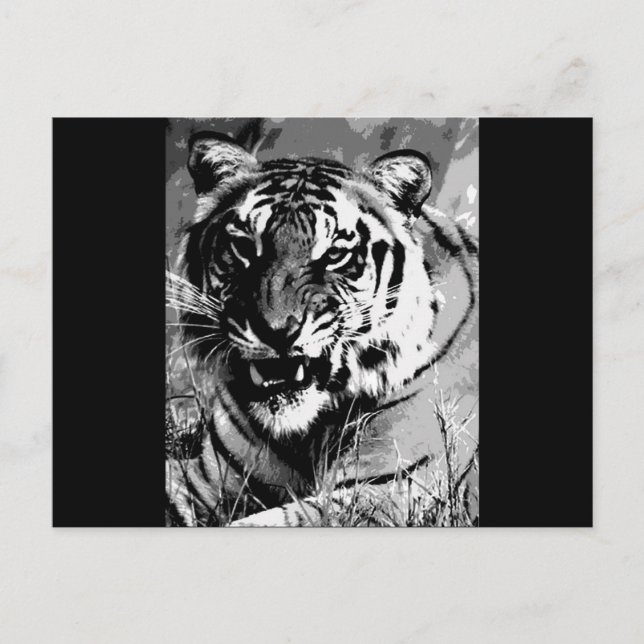 BW Tiger Postkarte (Vorderseite)