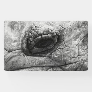 BW Tortoise Banner