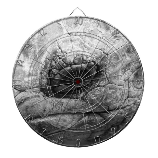 BW Tortoise Dartscheibe (vorne)