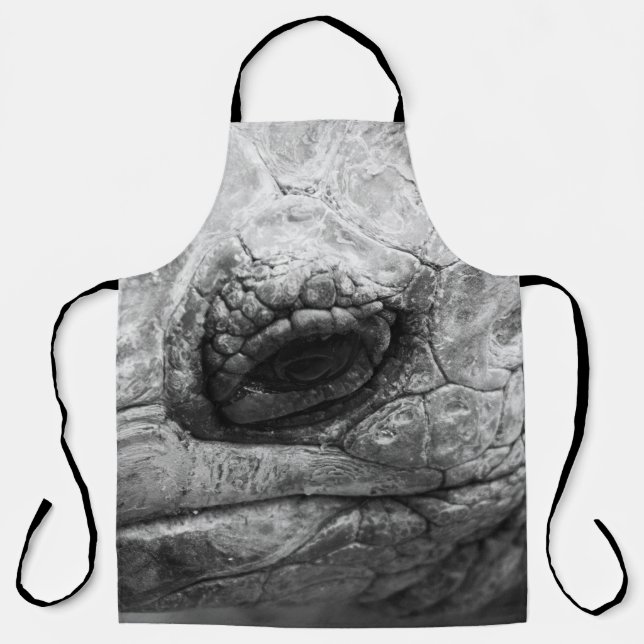 BW Tortoise Schürze (Vorderseite)