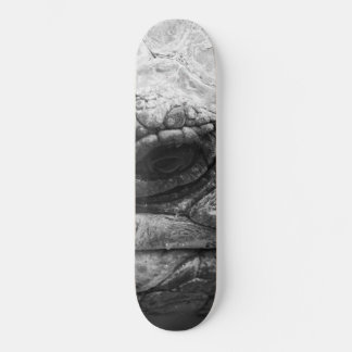 BW Tortoise Skateboard