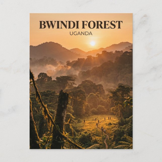 Bwindi-Wald, Kanungu, Westregion Postkarte (Vorderseite)