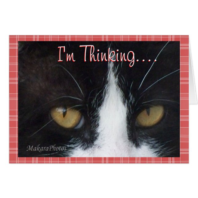 BWThinking.....anpassen (Vorderseite (Horizontal))