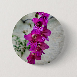 Byzantine Gladiolus Abzeichen Button