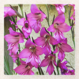 Byzantine Gladiolus Glasuntersetzer