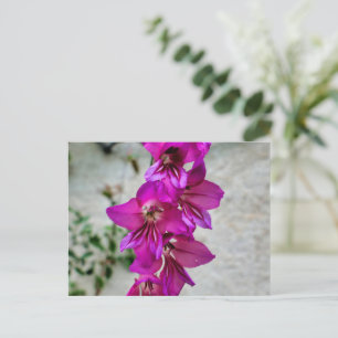 Byzantine Gladiolus Postkarte