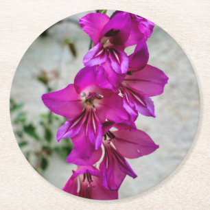 Byzantine Gladiolus Runder Pappuntersetzer