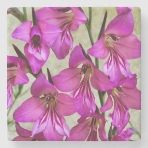 Byzantine Gladiolus Steinuntersetzer