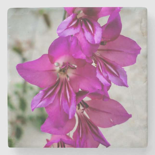 Byzantine Gladiolus Steinuntersetzer (Vorderseite)