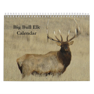 C10 Großer Bull-Elch-Kalender Kalender
