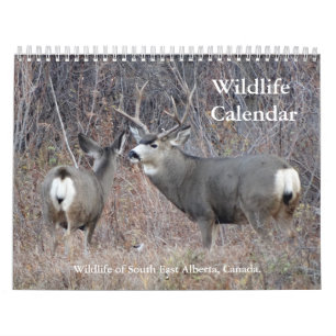 C13 Wildlife Calendar Kalender
