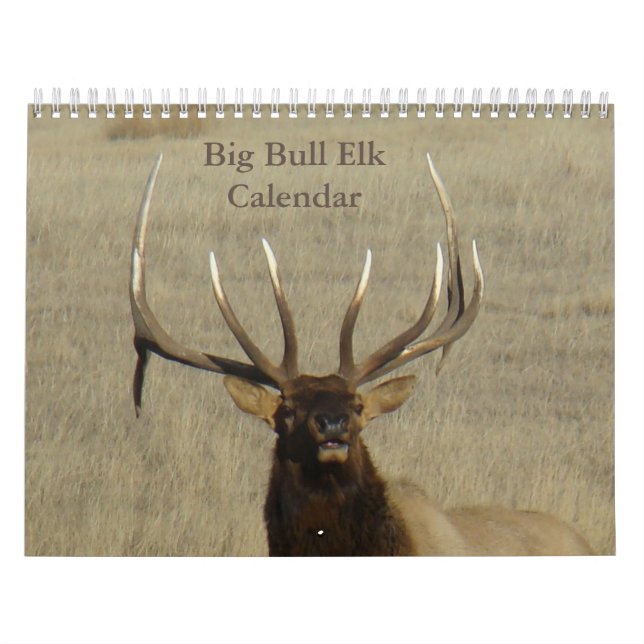 C9 Big Bull Elk Calendar Kalender (Titelbild)