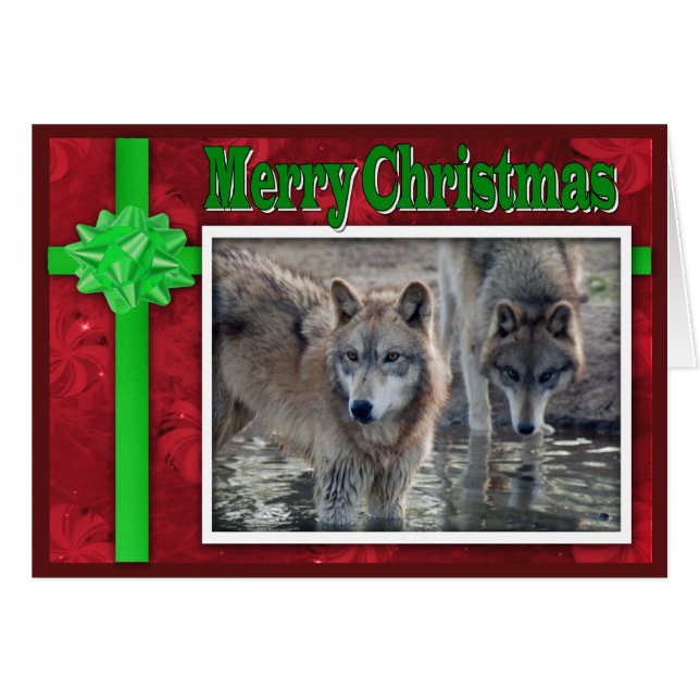 c-2011-grau-wolf-053 (Vorderseite (Horizontal))