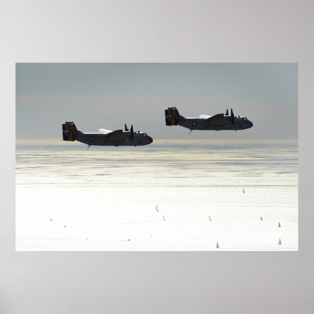 C-2A Windhunde Poster (Vorne)