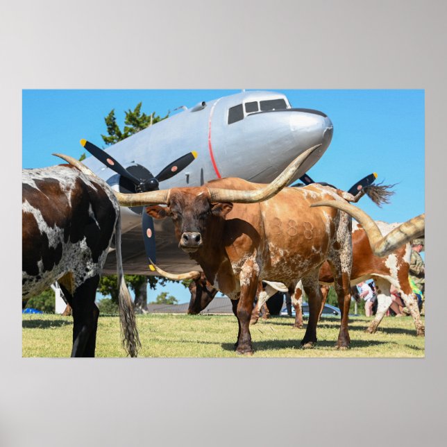 C-47 Skytrain in Texas Poster (Vorne)