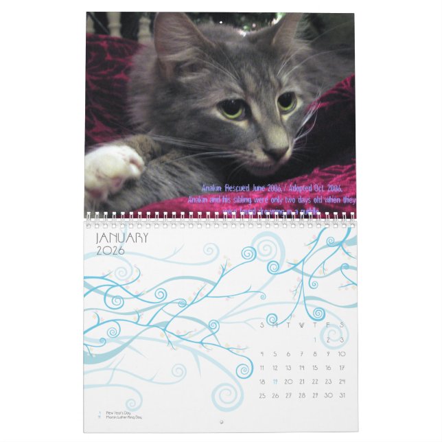 C.A.T.S. Kalender 2009 (Jan 2026)