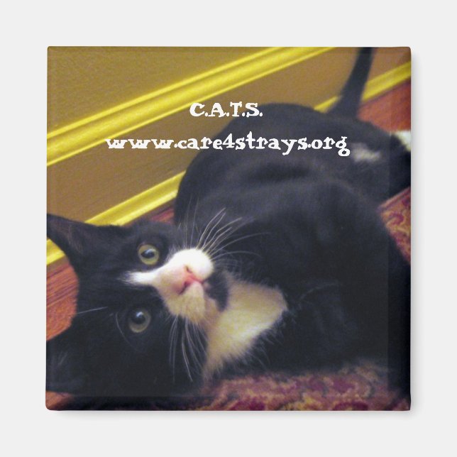 C.A.T.S. Magnet: Magnet (Vorne)