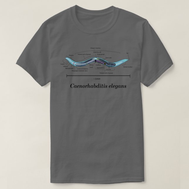 C Elegans Anatomical Diagram  T-Shirt (Design vorne)