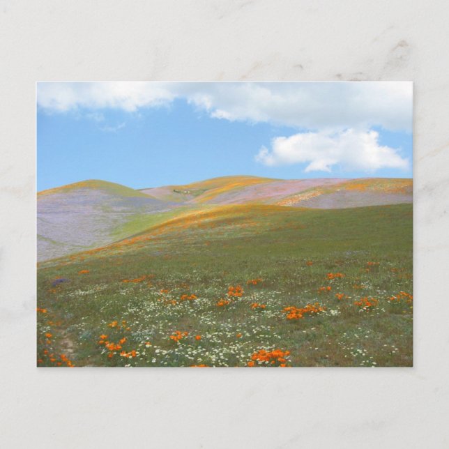 C-Frühling Lndscp Postkarte (Vorderseite)