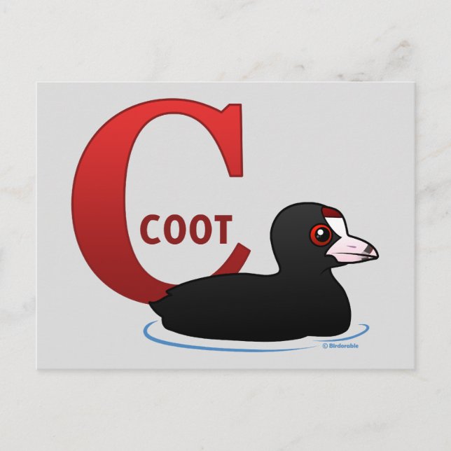 C ist für Coot Postkarte (Vorderseite)