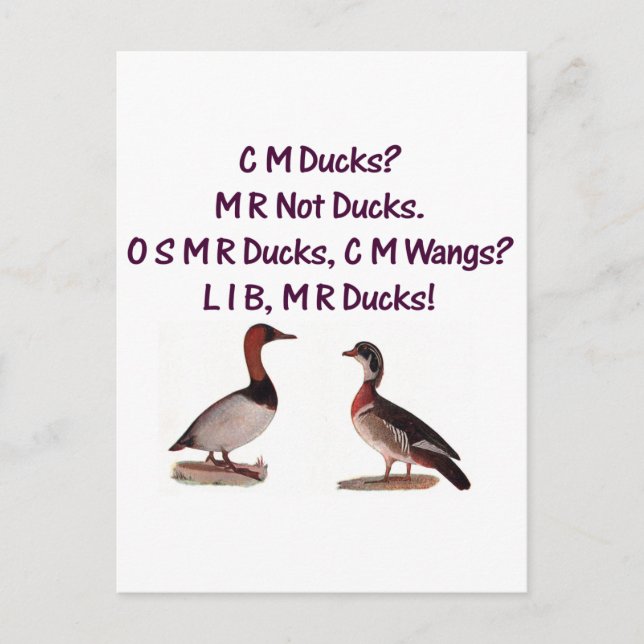 C M Enten? Funny Southern Accent Postkarte (Vorderseite)