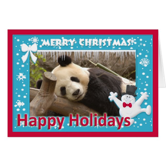 c-panda-278-s (Vorderseite (Horizontal))