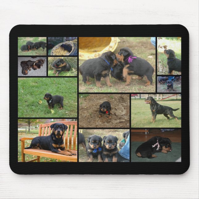 C-Sänftewelpencollage Mousepad (Vorne)