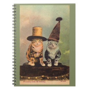 ca. 1900 Katzen in Hüten RPPC Notizblock