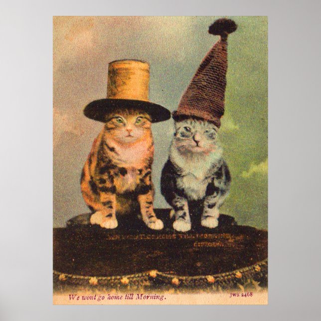 ca. 1900 Katzen in Hüten RPPC Poster (Vorne)