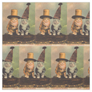 ca. 1900 Katzen in Hüten RPPC Stoff