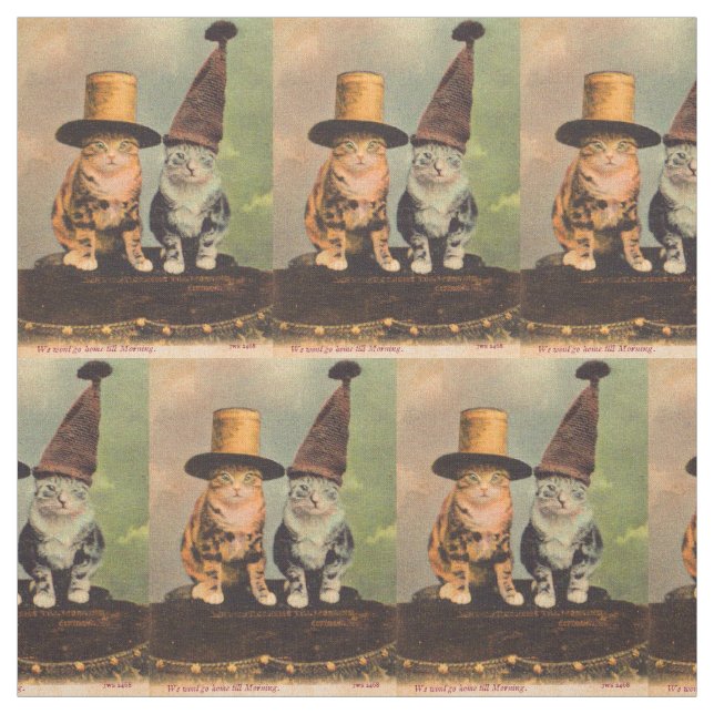 ca. 1900 Katzen in Hüten RPPC Stoff (Muster)