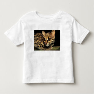 CA, Central Panama, Soberania NP, Margay 2 Kleinkind T-shirt