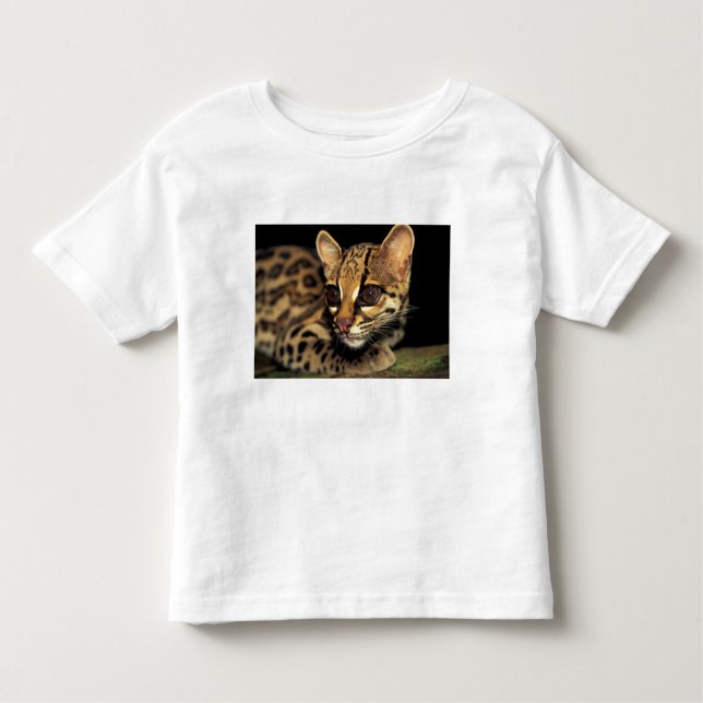 CA, Central Panama, Soberania NP, Margay 2 Kleinkind T-shirt (Vorderseite)
