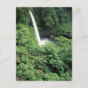CA, Costa Rica. Wasserfall und Springkraut in La P Postkarte