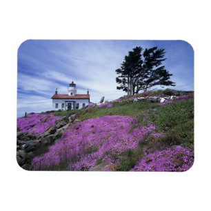 CA, Crescent City, Battery Point Leuchtturm mit Magnet