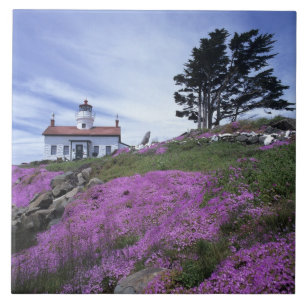 CA, Crescent City, Leuchtturm Battery Point mit Fliese