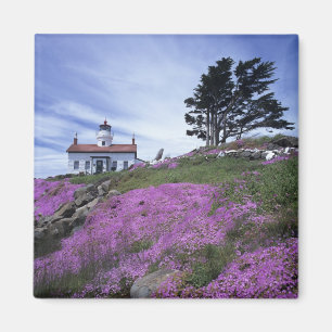 CA, Crescent City, Leuchtturm Battery Point mit Magnet