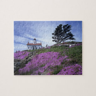 CA, Crescent City, Leuchtturm Battery Point mit Puzzle