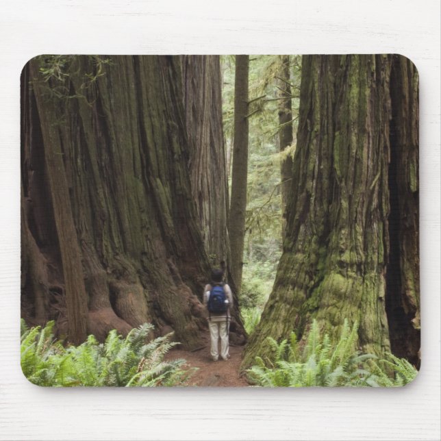 CA, Jedediah Smith Redwoods Staat Park, Mousepad (Vorne)