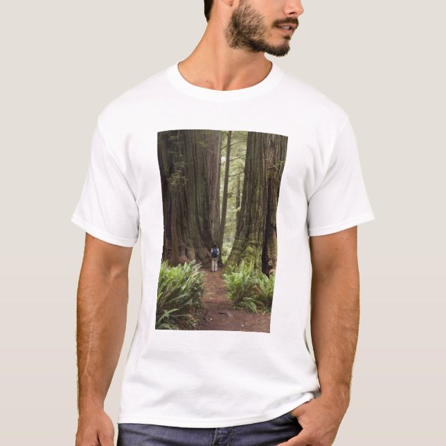 CA, Jedediah Smith Redwoods Staat Park, T-Shirt (Vorderseite)