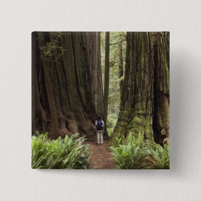 CA, Jedediah Smith Redwoods State Park, Button (Vorderseite)