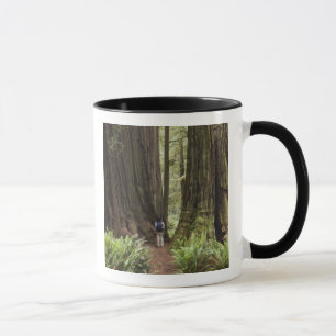 CA, Jedediah Smith Redwoods State Park, Tasse