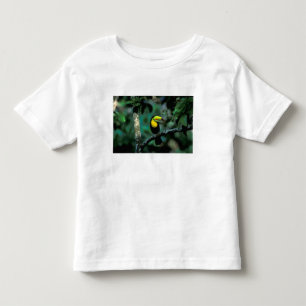 CA, Panama, Soberania NP, Tukan mit Keilschnabel Kleinkind T-shirt