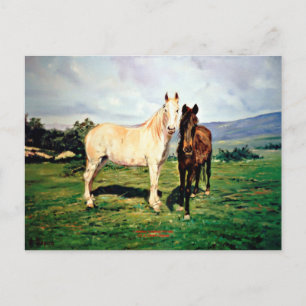 Caballos/Cabalos/Pferde Postkarte