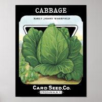 Cabbage Card Seed Co. Packet Vintag Fredonia