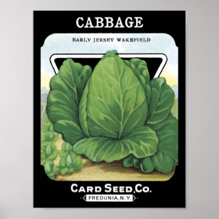 Cabbage Card Seed Co. Packet Vintag Fredonia Poster