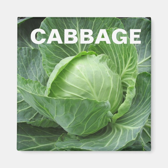 Cabbage Head Square Magnet (Vorne)